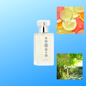 M013 ~ Essens Standard 50ml Aftershave inspired by Silver Mountain Water