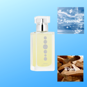 M024 ~ Essens Standard 50ml Aftershave