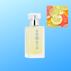 M029 ~ Essens Standard 50ml Aftershave